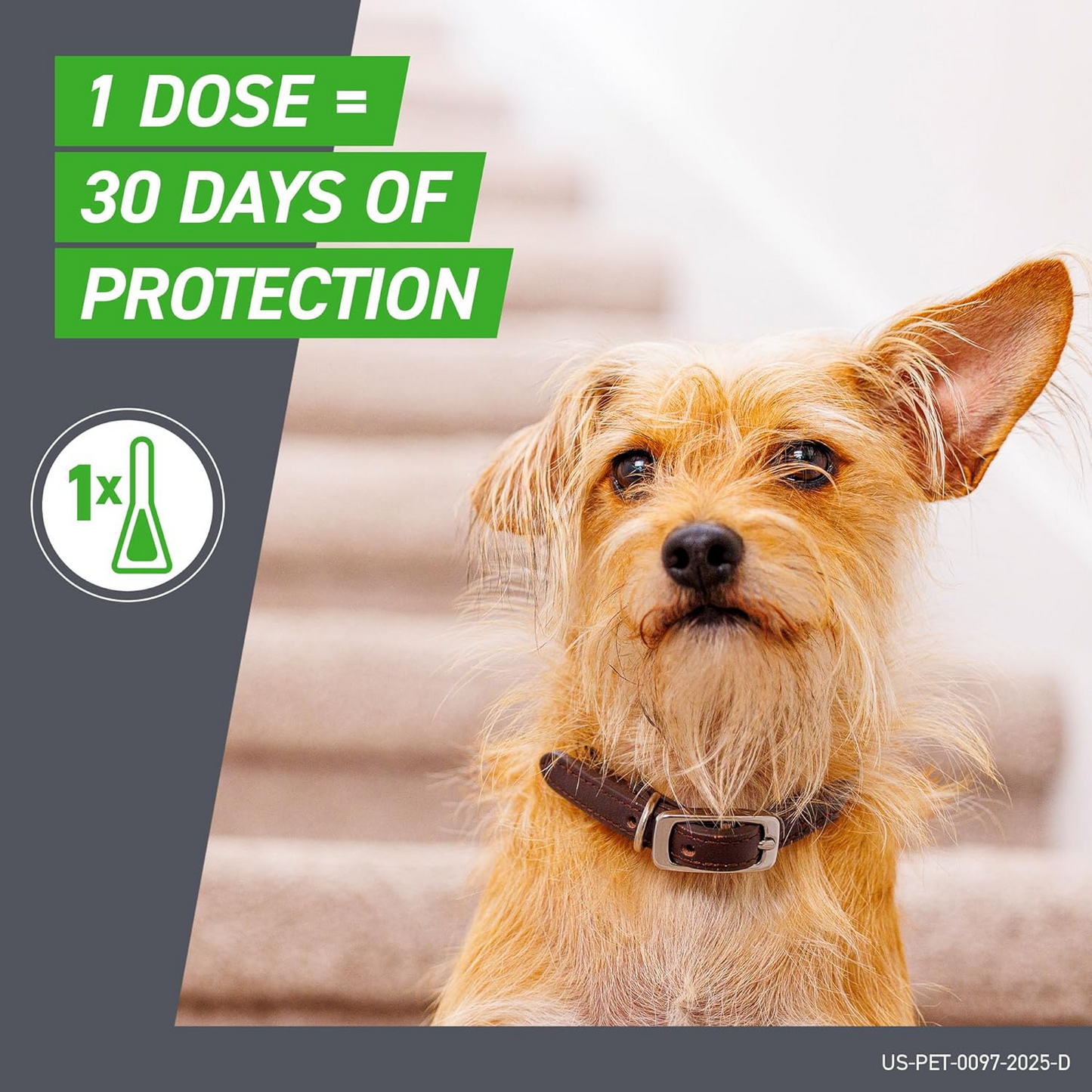 FRONTLINE® Plus for Dogs or Cats